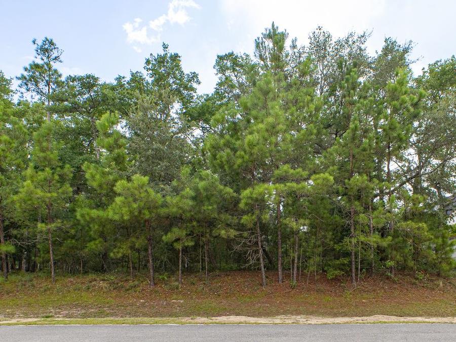 3365 Sandridge Lane (Lot available for custom build)